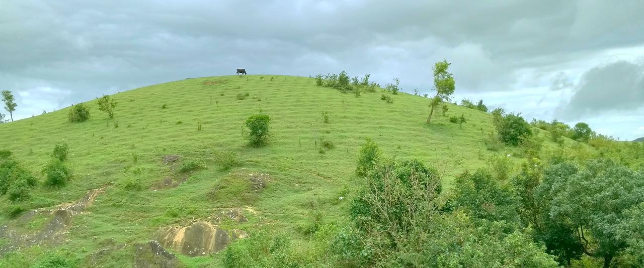 Vagamon Clouds Hotel Kültér fotó